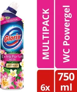 Glorix WC Powergel Toiletreiniger Pink Flower - 6 X 750 Ml - Voordeelverpakking -Winkel Met Schoonmaakproducten 1003x1200