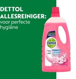 Dettol - Power & Fresh - Allesreiniger - Kersenbloesem - 8 X 1 Liter -Winkel Met Schoonmaakproducten 1157x1200