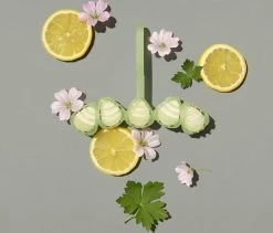 Marcel's Green Soap Toiletblok Geranium & Citroen - 55 Gram -Winkel Met Schoonmaakproducten 1200x1023