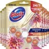 Glorix Aroma Lux Dahlia Flower & Dragonfruit - 9 Toiletblokken - Halfjaarbox - Voordeelverpakking -Winkel Met Schoonmaakproducten 1200x1111 1