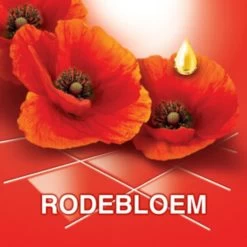 Ajax® Ajax Allesreiniger Fete De Fleur Rode Bloemen 1 Liter -Winkel Met Schoonmaakproducten 1200x1200 199