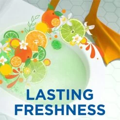 WC Eend Fresh Discs Navul Duo Lime 72 Ml 12 WC Eend Fresh Discs Navul Duo Lime 72 Ml -Winkel Met Schoonmaakproducten 1200x1200 328