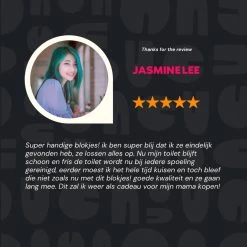 Merkloos Toiletblokjes Voor Inbouwreservoirs – WC-blokjes – Toiletblokken In Een Voordeelverpakking – 30 Stuks -Winkel Met Schoonmaakproducten 1200x1200 421