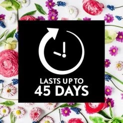 Air Wick Essential Mist Automatische Geurverspreider Luchtverfrisser - Innerlijke Rust - Navulling -Winkel Met Schoonmaakproducten 1200x1200 497