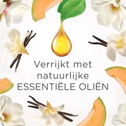 Air Wick Elektrische Luchtverfrisser - Zalige Zomer - 3 Navullingen -Winkel Met Schoonmaakproducten 1200x1200 515