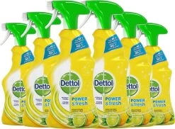 Dettol - Power & Fresh - Allesreinger Spray - Citrus - 6 X 500 Ml 22 Dettol - Power & Fresh - Allesreinger Spray - Citrus - 6 X 500 Ml -Winkel Met Schoonmaakproducten 1200x885