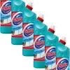 Glorix Extended Power Eucalyptus Bleek Javel 6x750ML -Winkel Met Schoonmaakproducten 750x1200 2